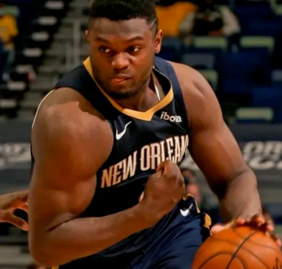 国王横扫美国男篮，锡安高光表现的简单介绍