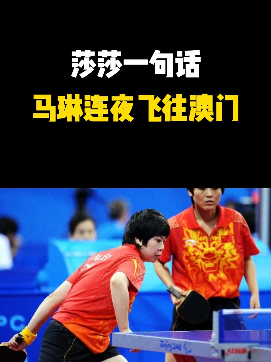 中国羽毛球队完胜日本羽毛球队，马琳一己之力扛起全队的简单介绍