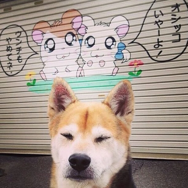 钢铁防线与伦敦之矛—巴斯托尼证明自我，阿森纳扼杀悬念撼动罗马