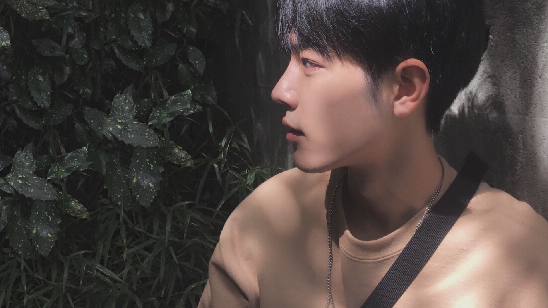 围城焚书,当布克的教科书在山西的火焰中化为兵法