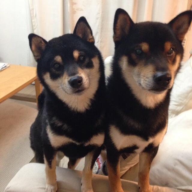 狙击与涅槃,当乔治的准星刺破费城夜空