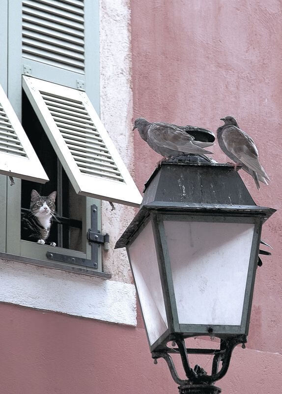 开云体育app-地中海的咆哮，当虚拟马赛在温布利击碎英格兰铁骑神话