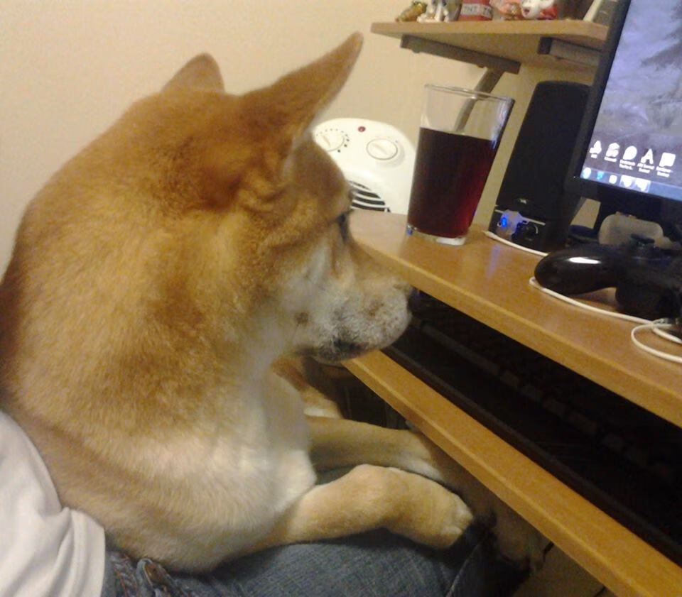 奥胡斯狂热夜,当F1争冠硝烟撞碎北美铁幕,东方铁骑的跨洋共振