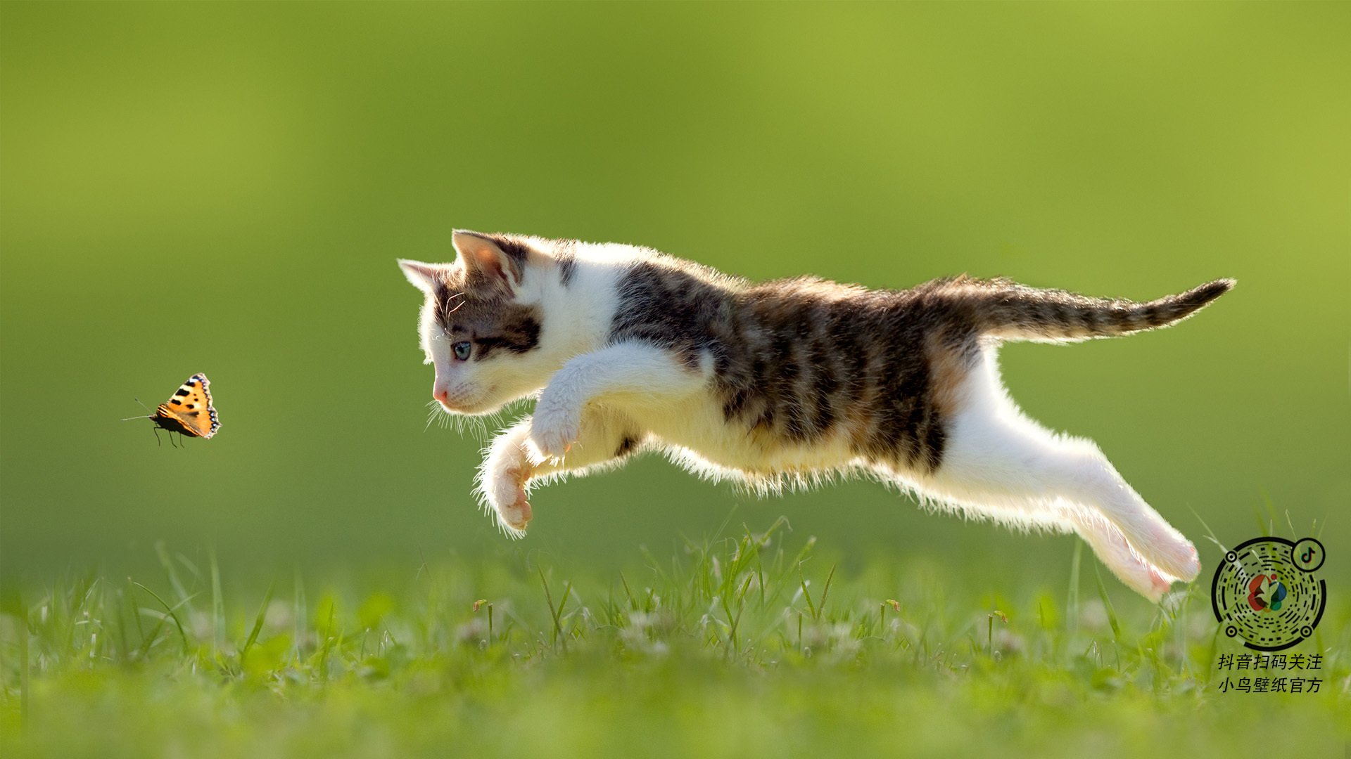 国家德比烽烟起，黄潜艇奇袭伊拉克，一场绿茵与沙场的战术对位