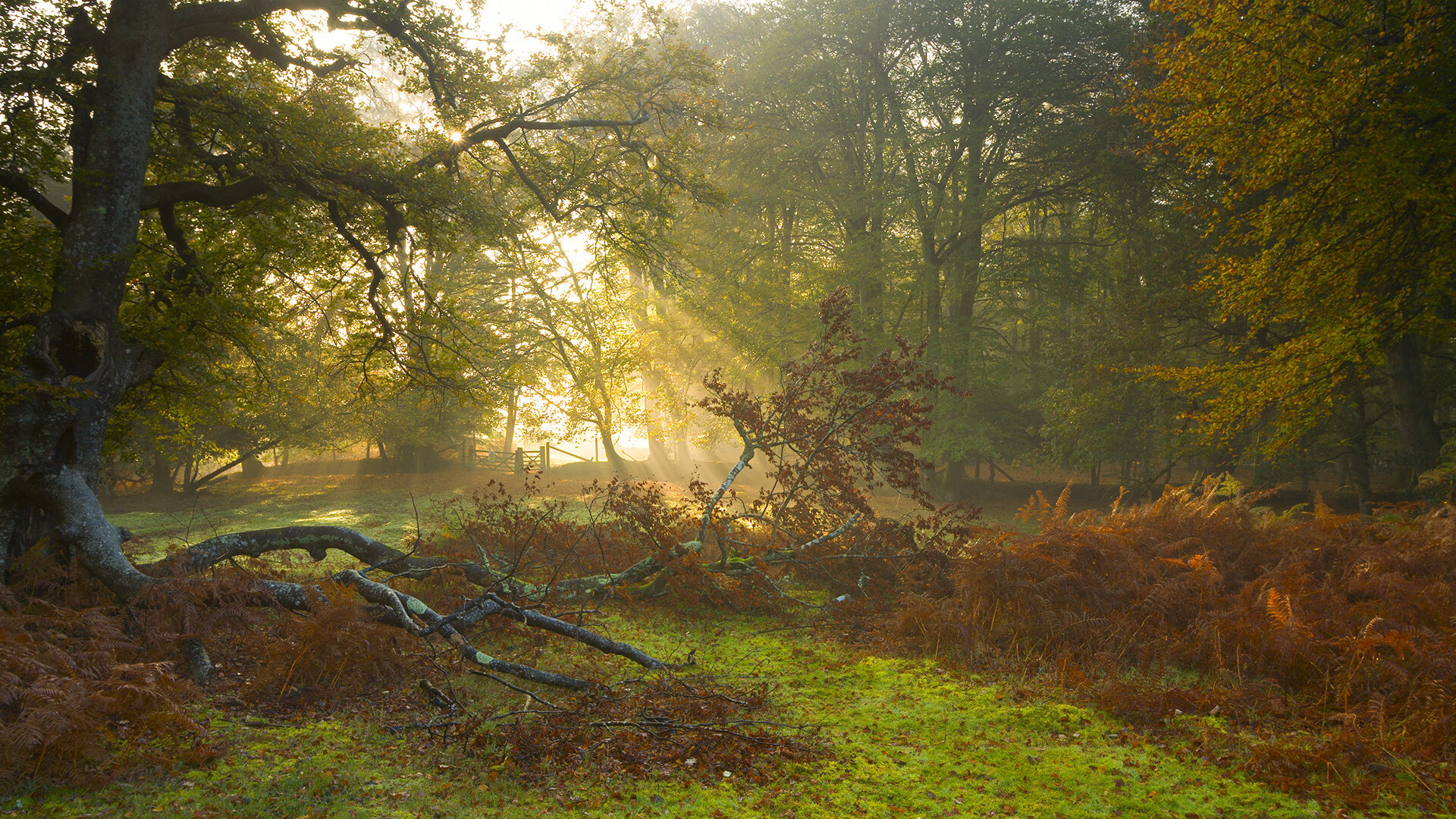 决胜时刻，那些跨越时空的永恒瞬间