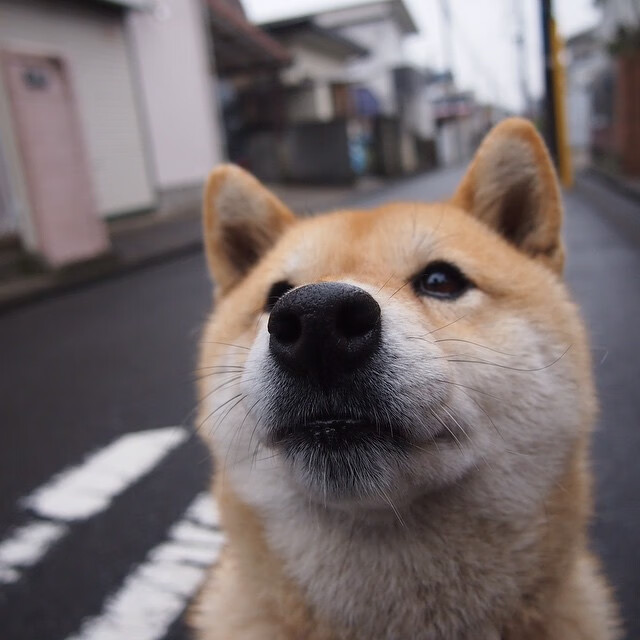 开云体育app-新王当立！切特绝境扛起鹈鹕，力克热火跻身巅峰