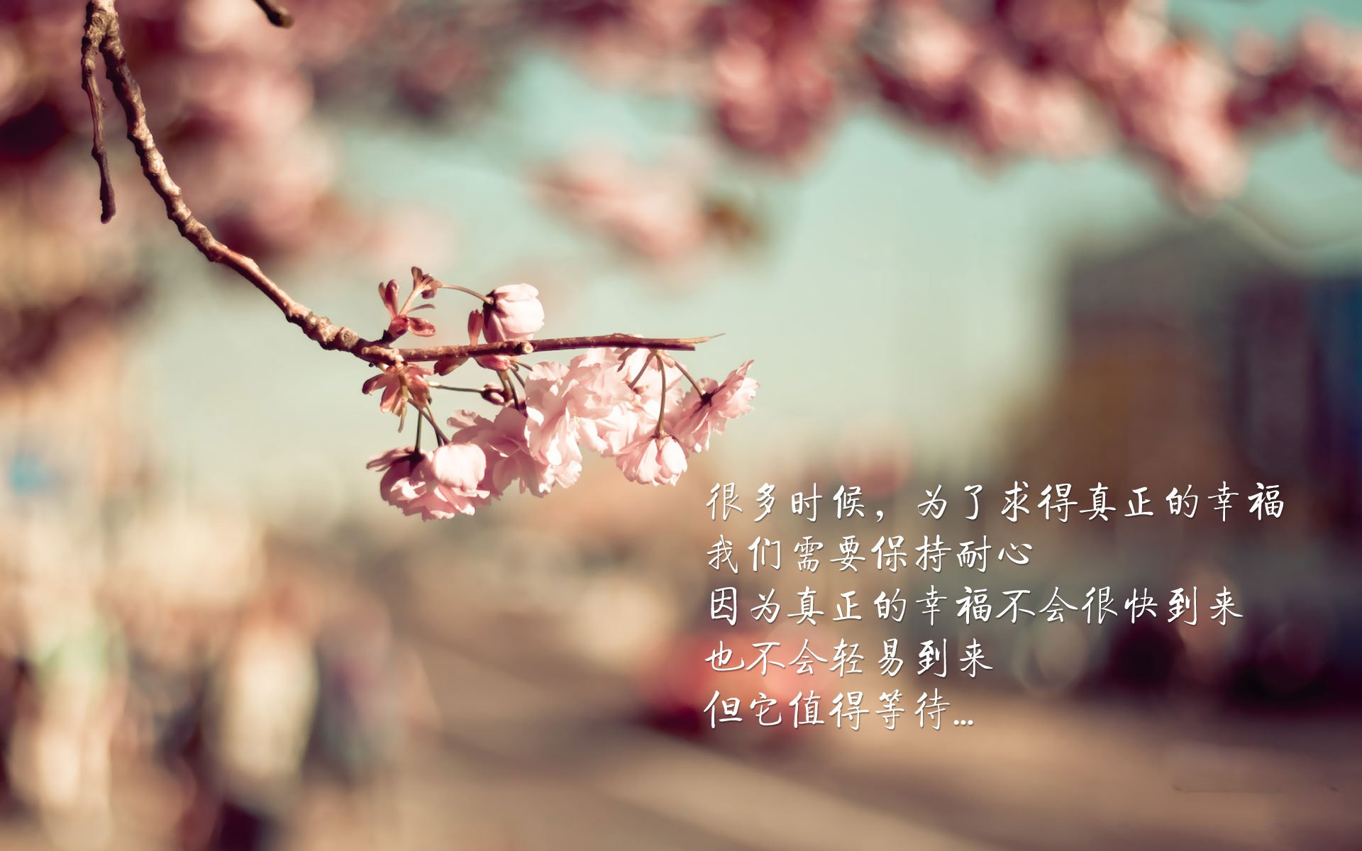 开云体育官网-温布利的回响，2026，萨卡与西班牙的复仇密码